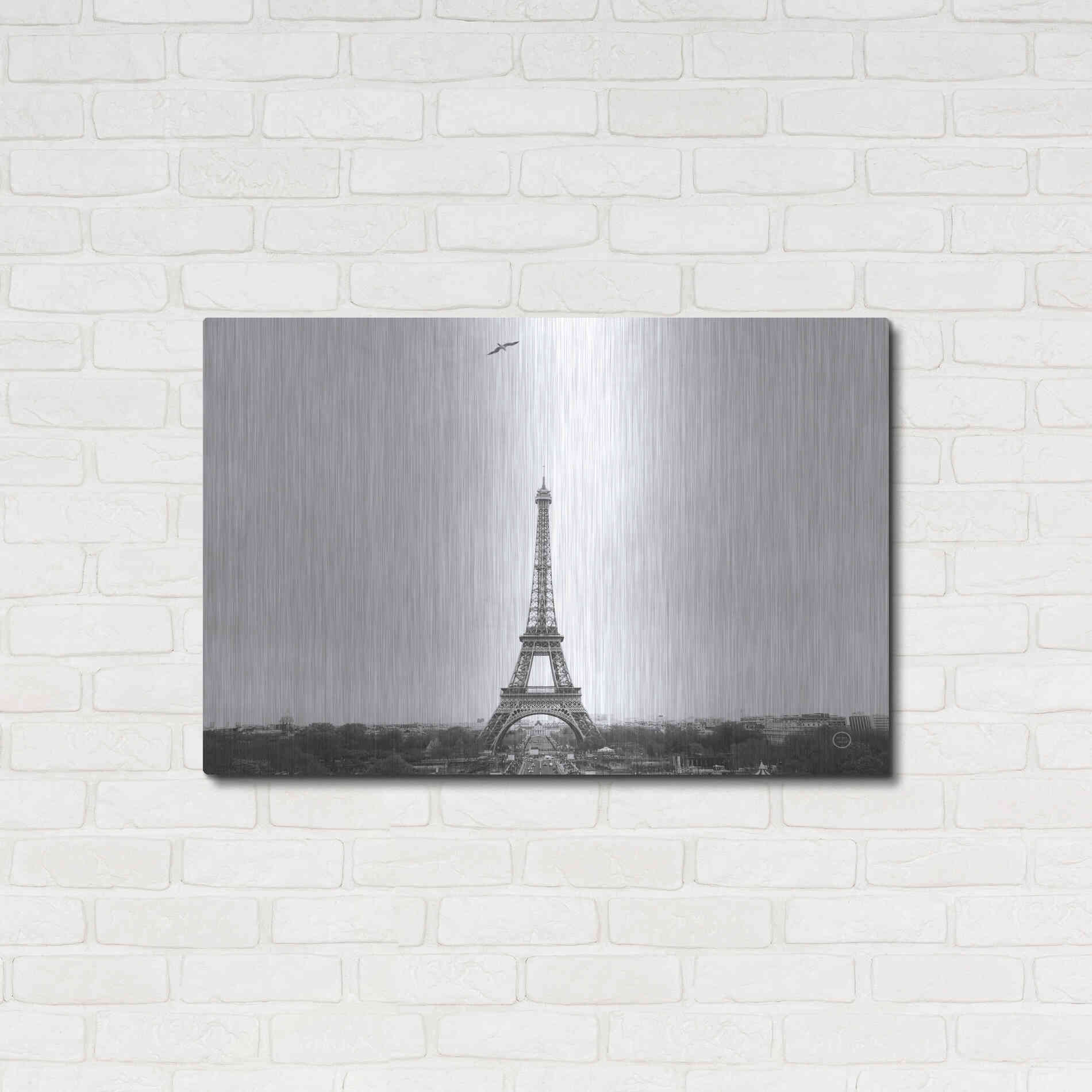 Luxe Metal Art 'A Birds View of Paris' by Nathan Larson, Metal Wall Art,36x24
