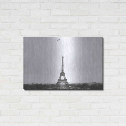 Luxe Metal Art 'A Birds View of Paris' by Nathan Larson, Metal Wall Art,36x24