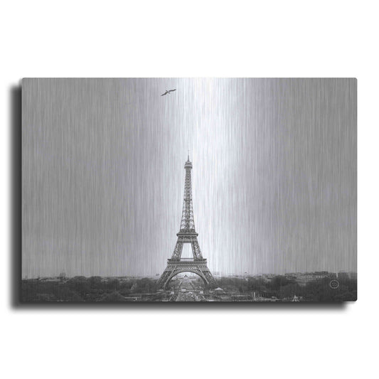 Luxe Metal Art 'A Birds View of Paris' by Nathan Larson, Metal Wall Art