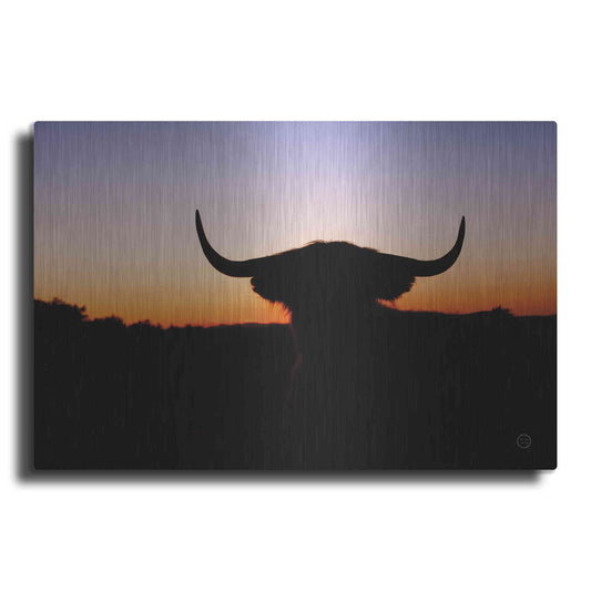 Luxe Metal Art 'Bull Set' by Nathan Larson, Metal Wall Art