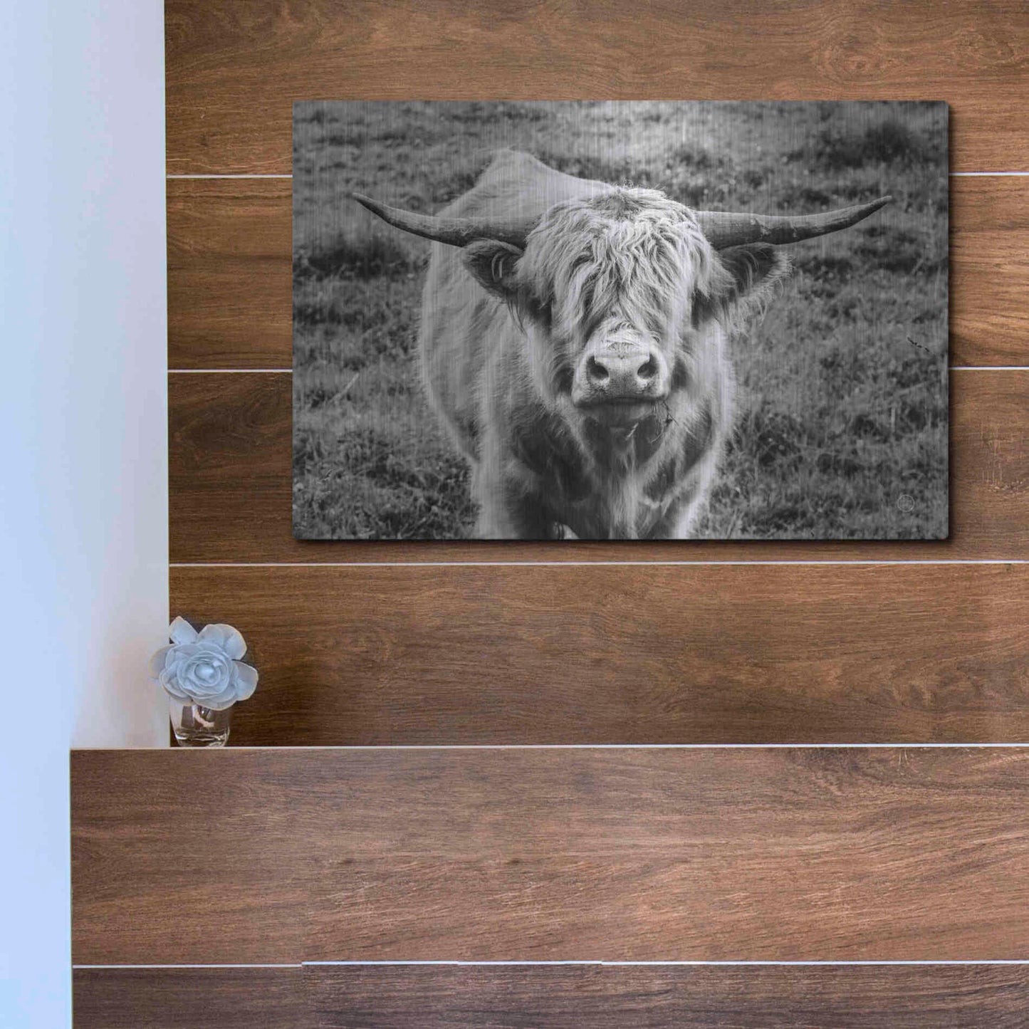 Luxe Metal Art 'Highland Cow Staring Contest' by Nathan Larson, Metal Wall Art,16x12