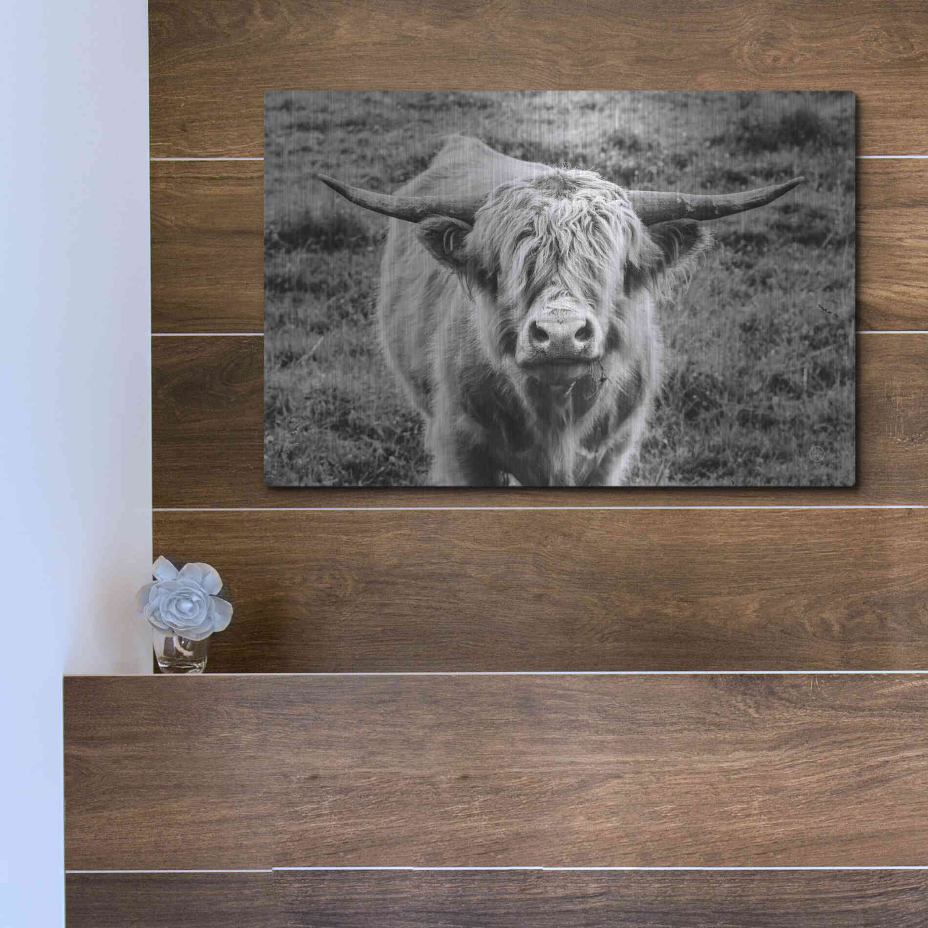 Luxe Metal Art 'Highland Cow Staring Contest' by Nathan Larson, Metal Wall Art,16x12