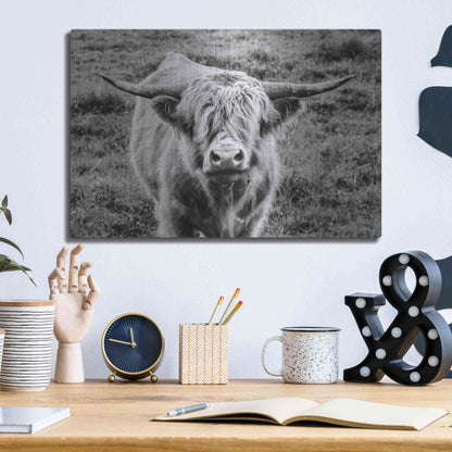 Luxe Metal Art 'Highland Cow Staring Contest' by Nathan Larson, Metal Wall Art,16x12