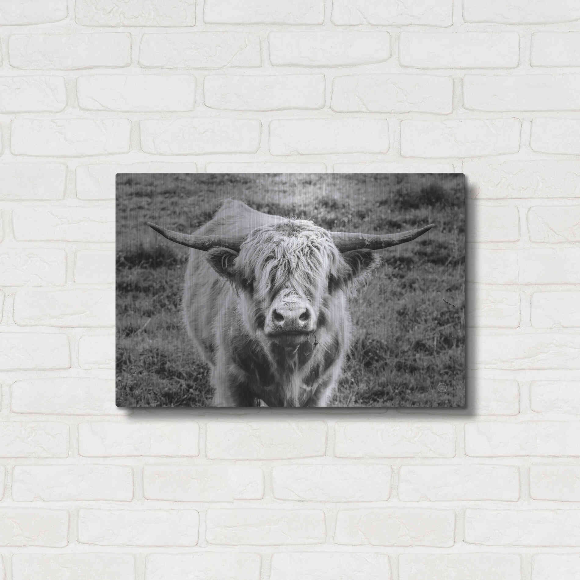 Luxe Metal Art 'Highland Cow Staring Contest' by Nathan Larson, Metal Wall Art,24x16