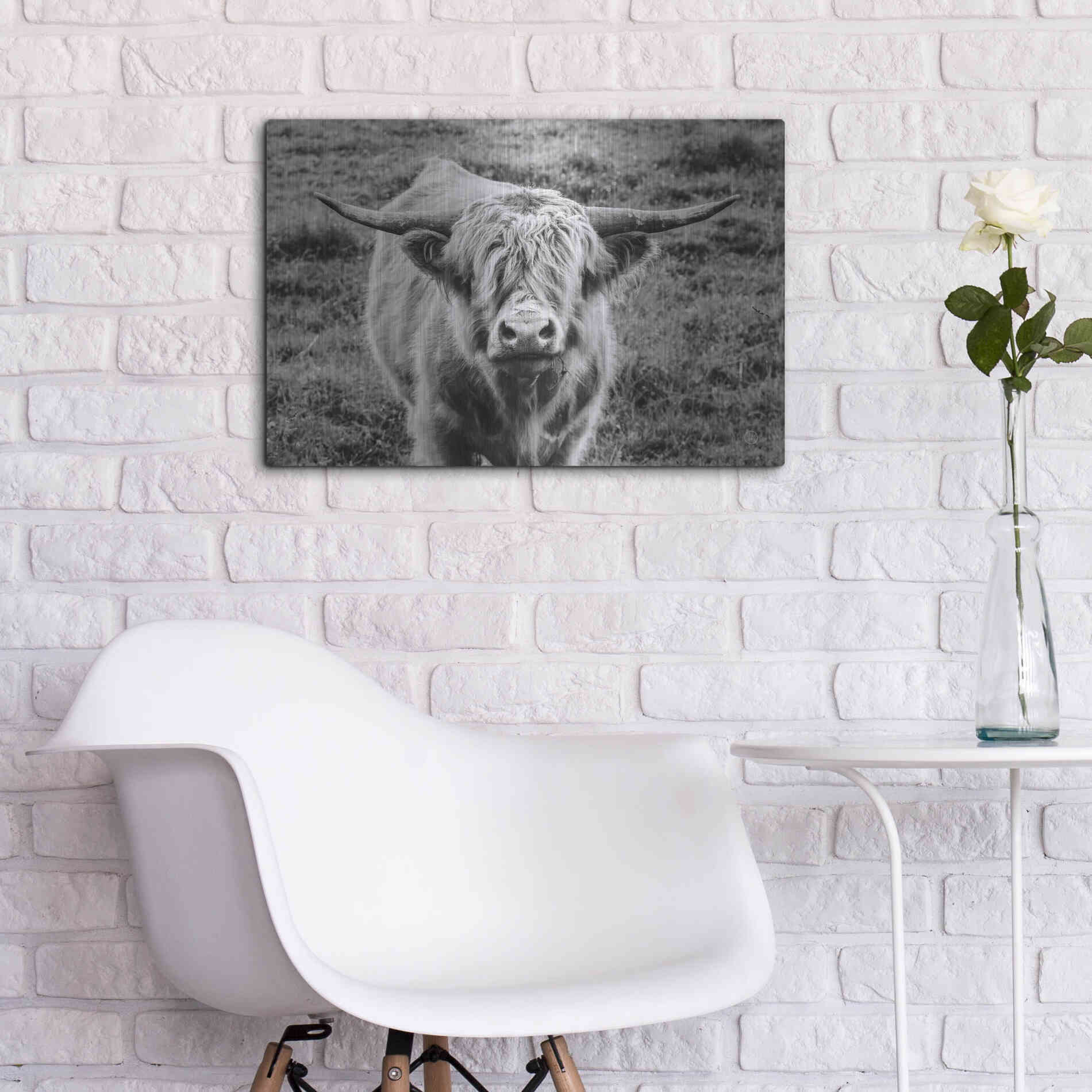 Luxe Metal Art 'Highland Cow Staring Contest' by Nathan Larson, Metal Wall Art,24x16