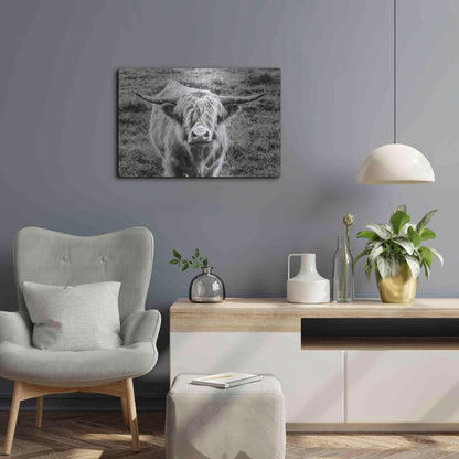 Luxe Metal Art 'Highland Cow Staring Contest' by Nathan Larson, Metal Wall Art,24x16