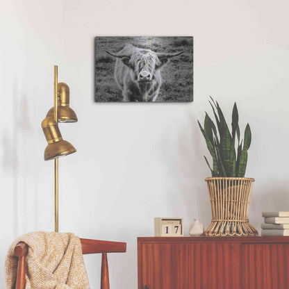 Luxe Metal Art 'Highland Cow Staring Contest' by Nathan Larson, Metal Wall Art,24x16