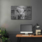 Luxe Metal Art 'Highland Cow Staring Contest' by Nathan Larson, Metal Wall Art,36x24