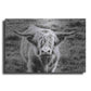 Luxe Metal Art 'Highland Cow Staring Contest' by Nathan Larson, Metal Wall Art