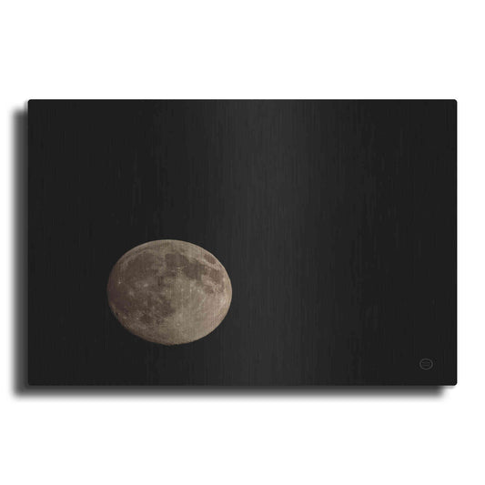 Luxe Metal Art 'Moon Detail II' by Nathan Larson, Metal Wall Art