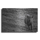 Luxe Metal Art 'Highland Cow Calf in the Wind' by Nathan Larson, Metal Wall Art