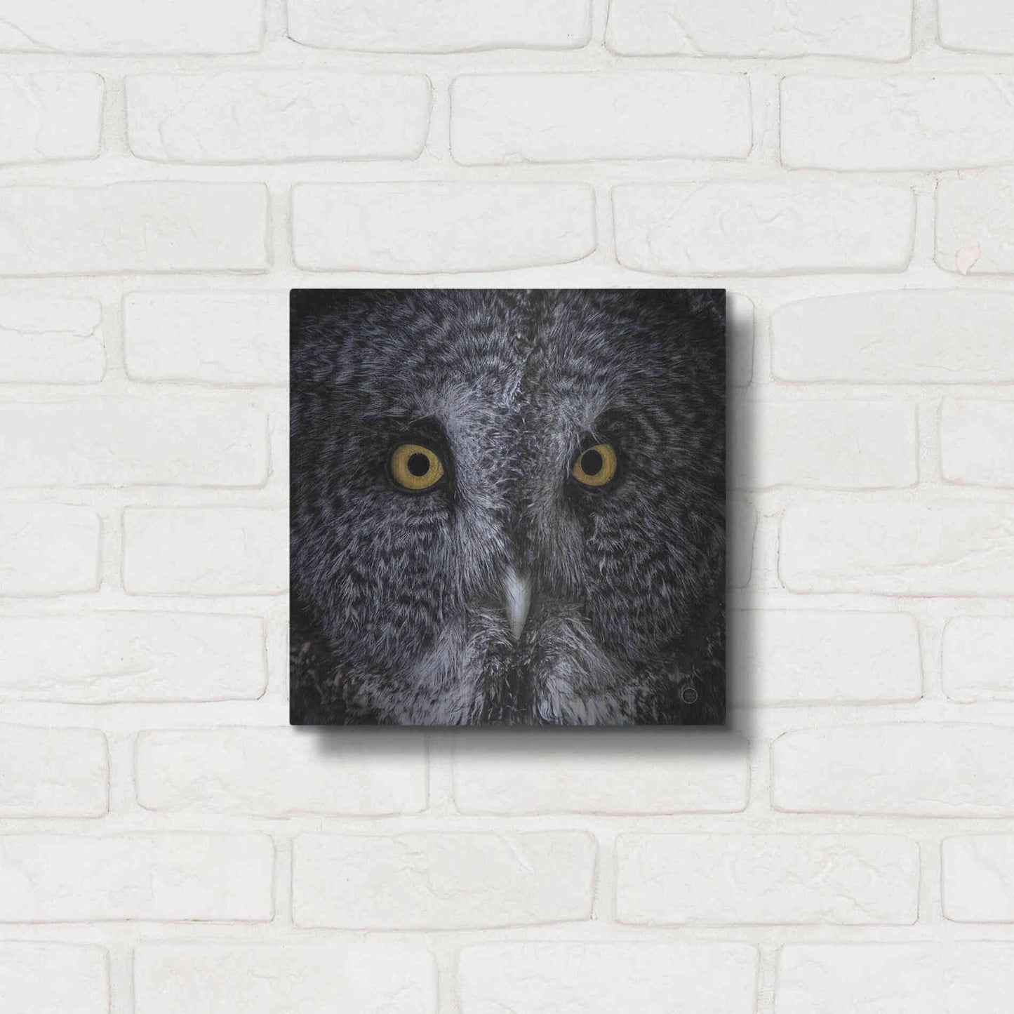 Luxe Metal Art 'Great Grey Owl' by Nathan Larson, Metal Wall Art,12x12