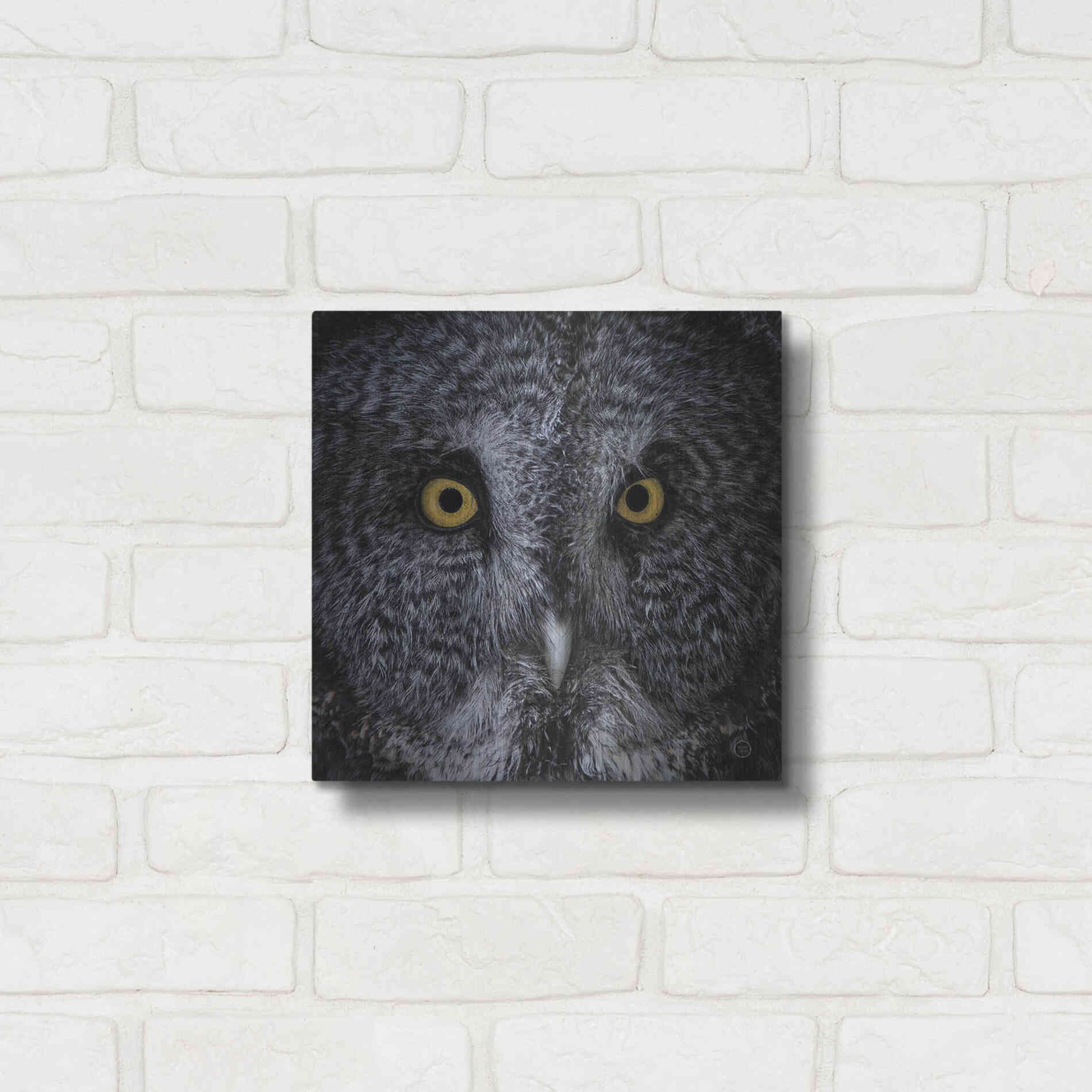 Luxe Metal Art 'Great Grey Owl' by Nathan Larson, Metal Wall Art,12x12