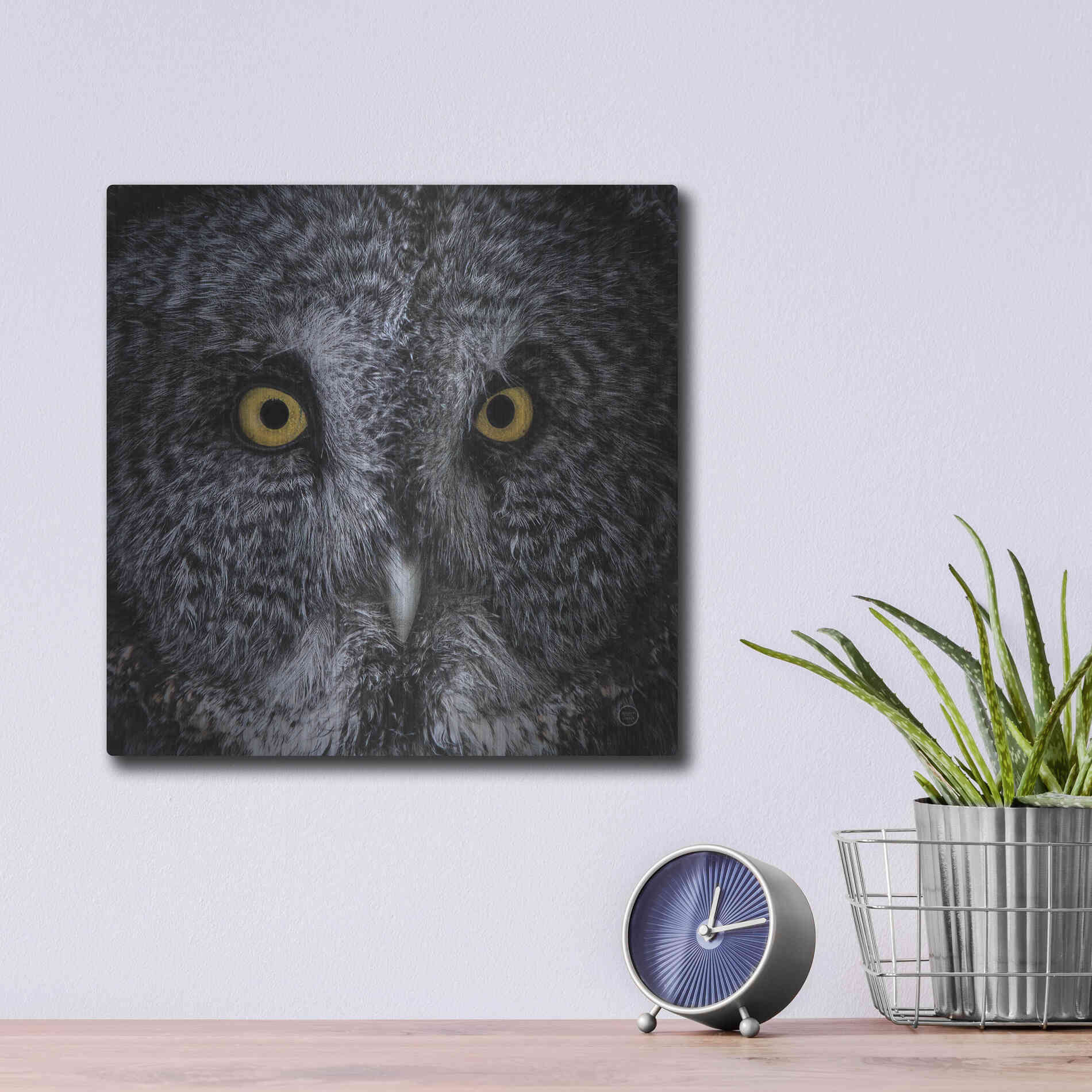 Luxe Metal Art 'Great Grey Owl' by Nathan Larson, Metal Wall Art,12x12