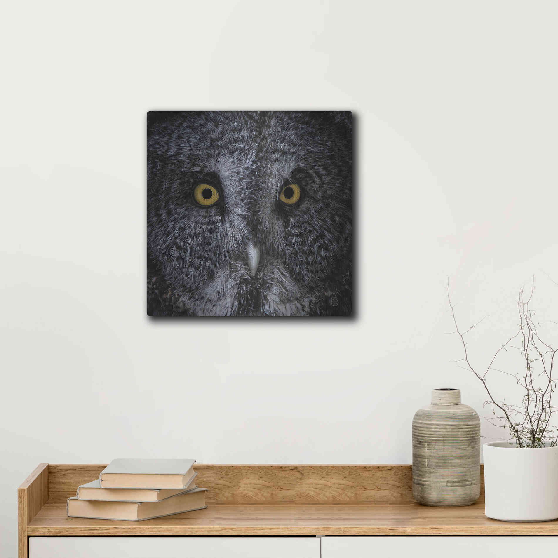 Luxe Metal Art 'Great Grey Owl' by Nathan Larson, Metal Wall Art,12x12