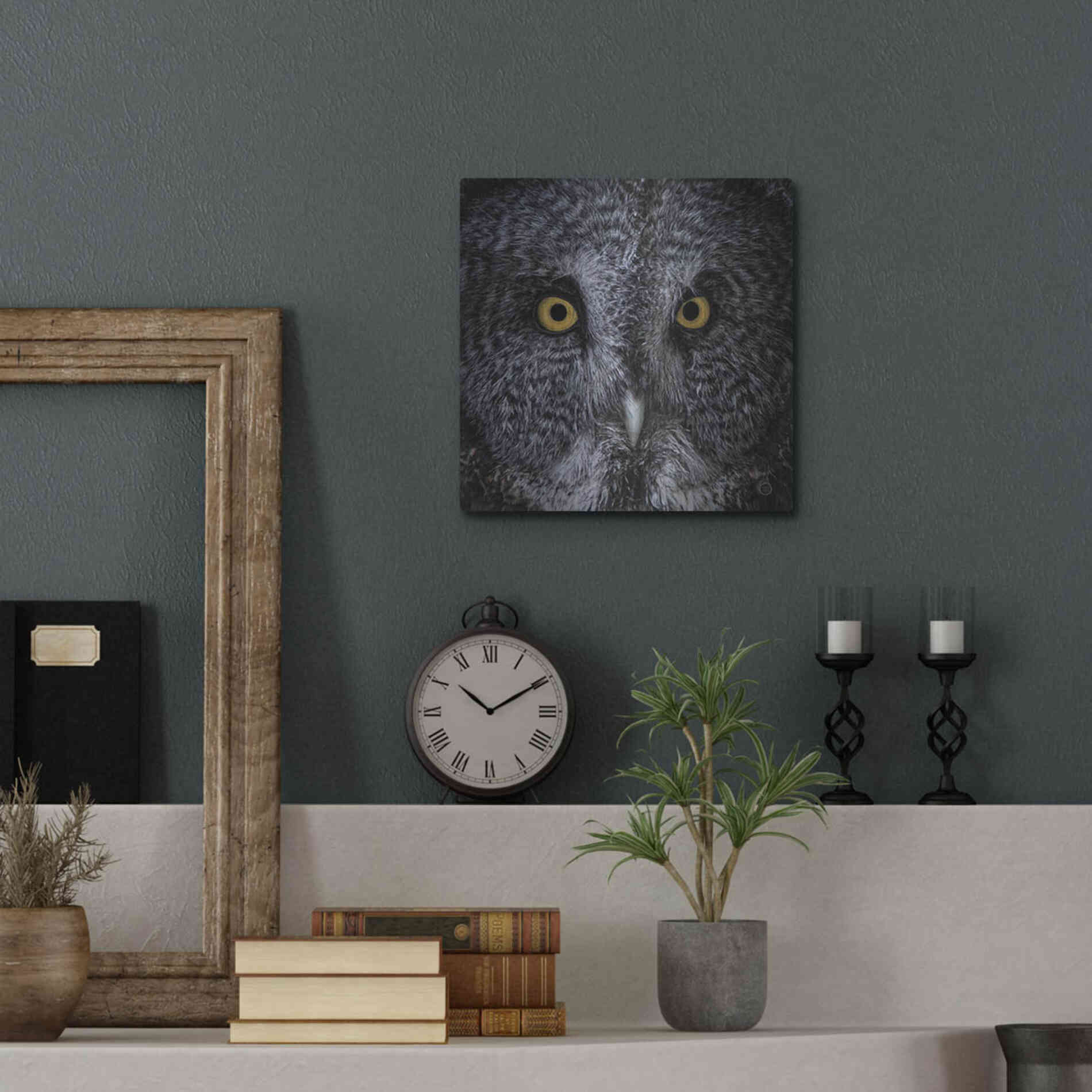 Luxe Metal Art 'Great Grey Owl' by Nathan Larson, Metal Wall Art,12x12