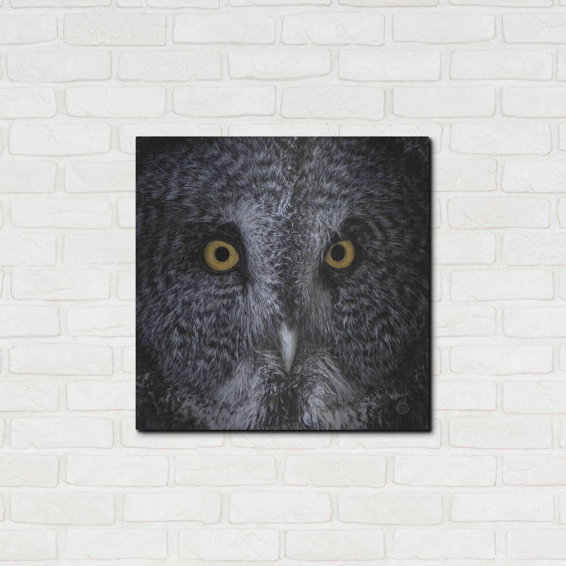 Luxe Metal Art 'Great Grey Owl' by Nathan Larson, Metal Wall Art,24x24