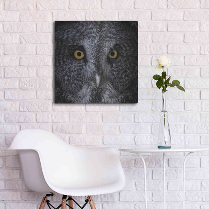 Luxe Metal Art 'Great Grey Owl' by Nathan Larson, Metal Wall Art,24x24