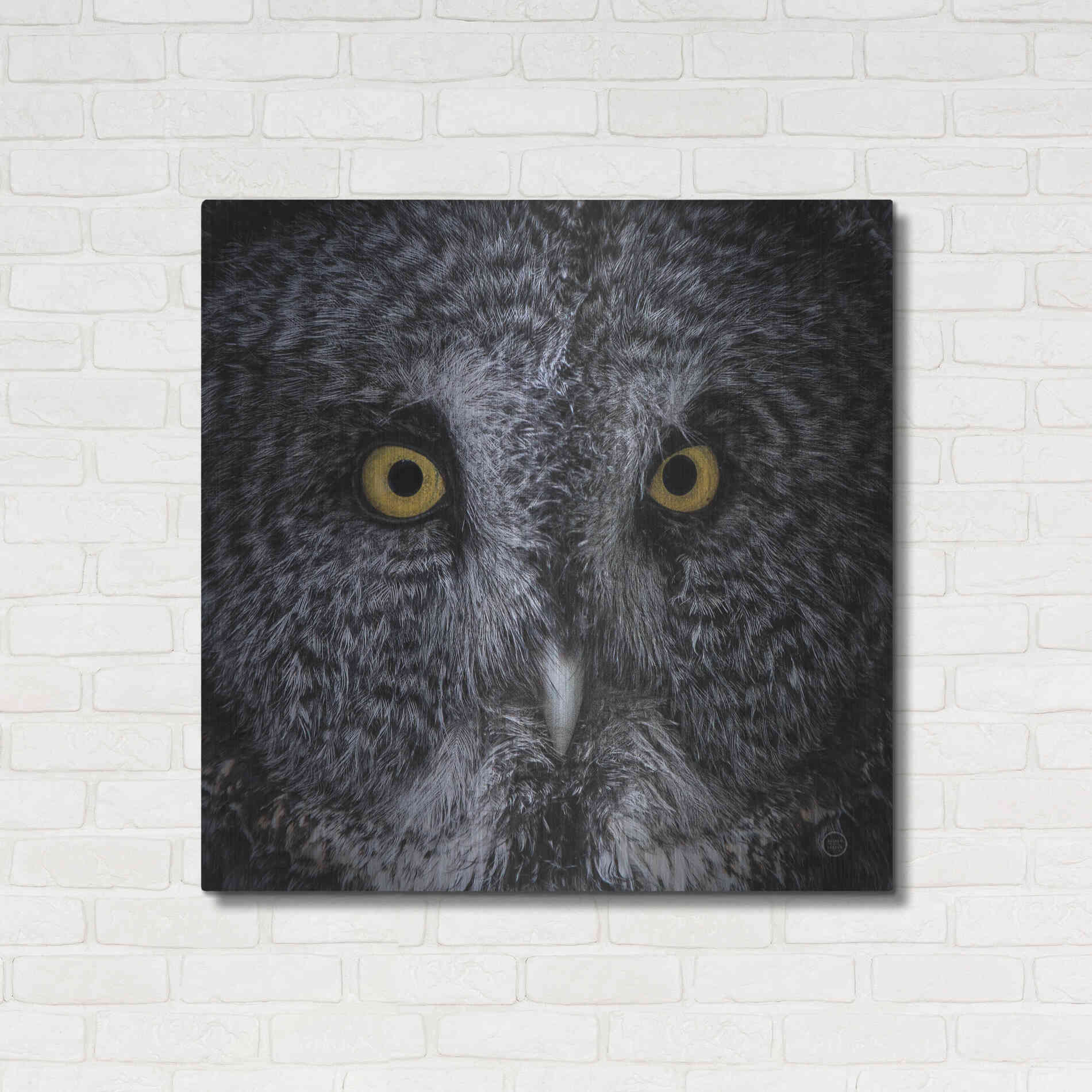 Luxe Metal Art 'Great Grey Owl' by Nathan Larson, Metal Wall Art,36x36