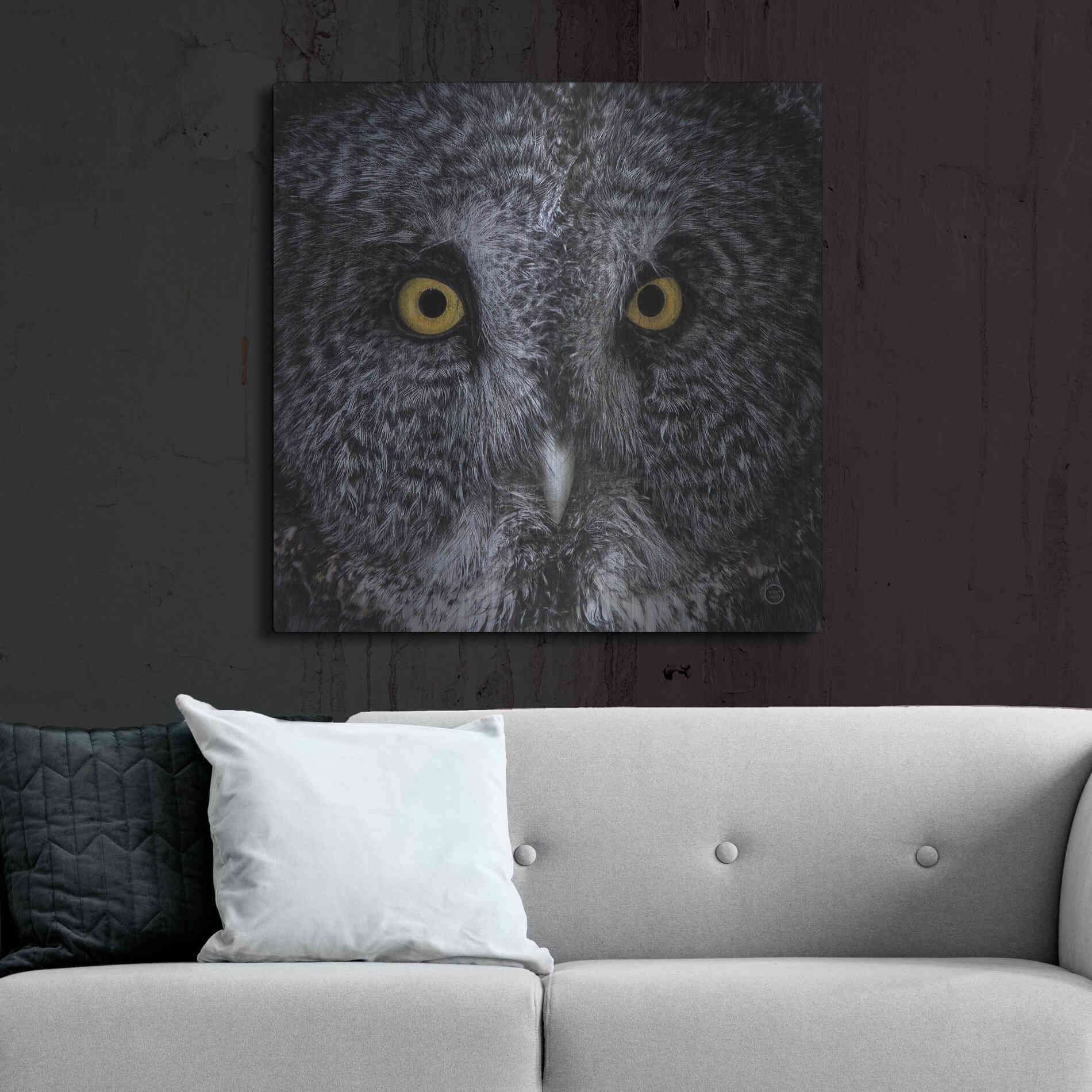 Luxe Metal Art 'Great Grey Owl' by Nathan Larson, Metal Wall Art,36x36