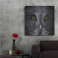 Luxe Metal Art 'Great Grey Owl' by Nathan Larson, Metal Wall Art,36x36