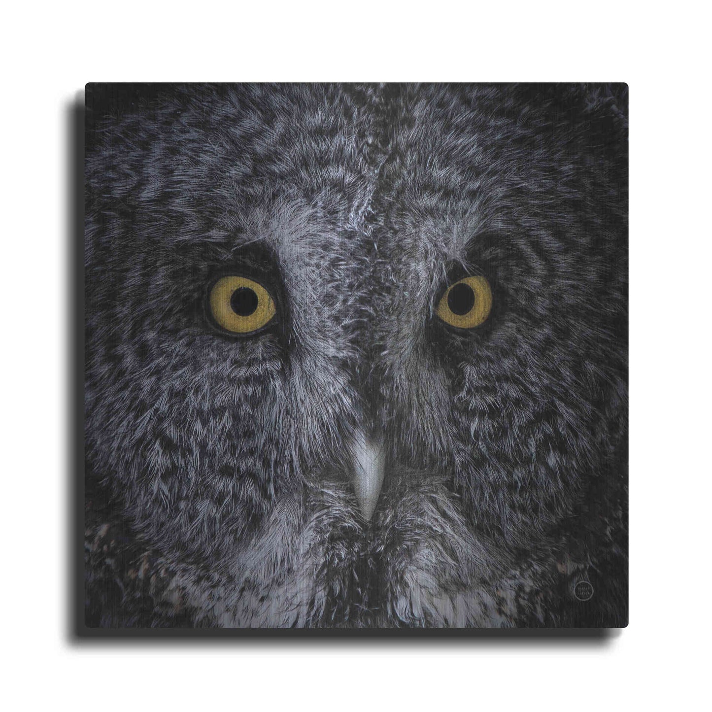 Luxe Metal Art 'Great Grey Owl' by Nathan Larson, Metal Wall Art