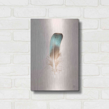 Luxe Metal Art 'Floating Feathers IV' by Nathan Larson, Metal Wall Art,12x16