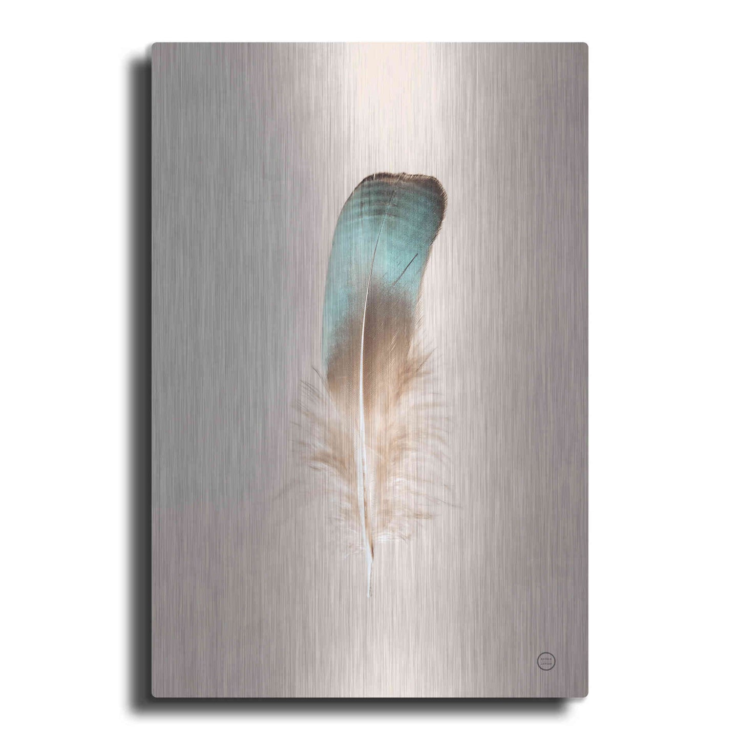 Luxe Metal Art 'Floating Feathers IV' by Nathan Larson, Metal Wall Art