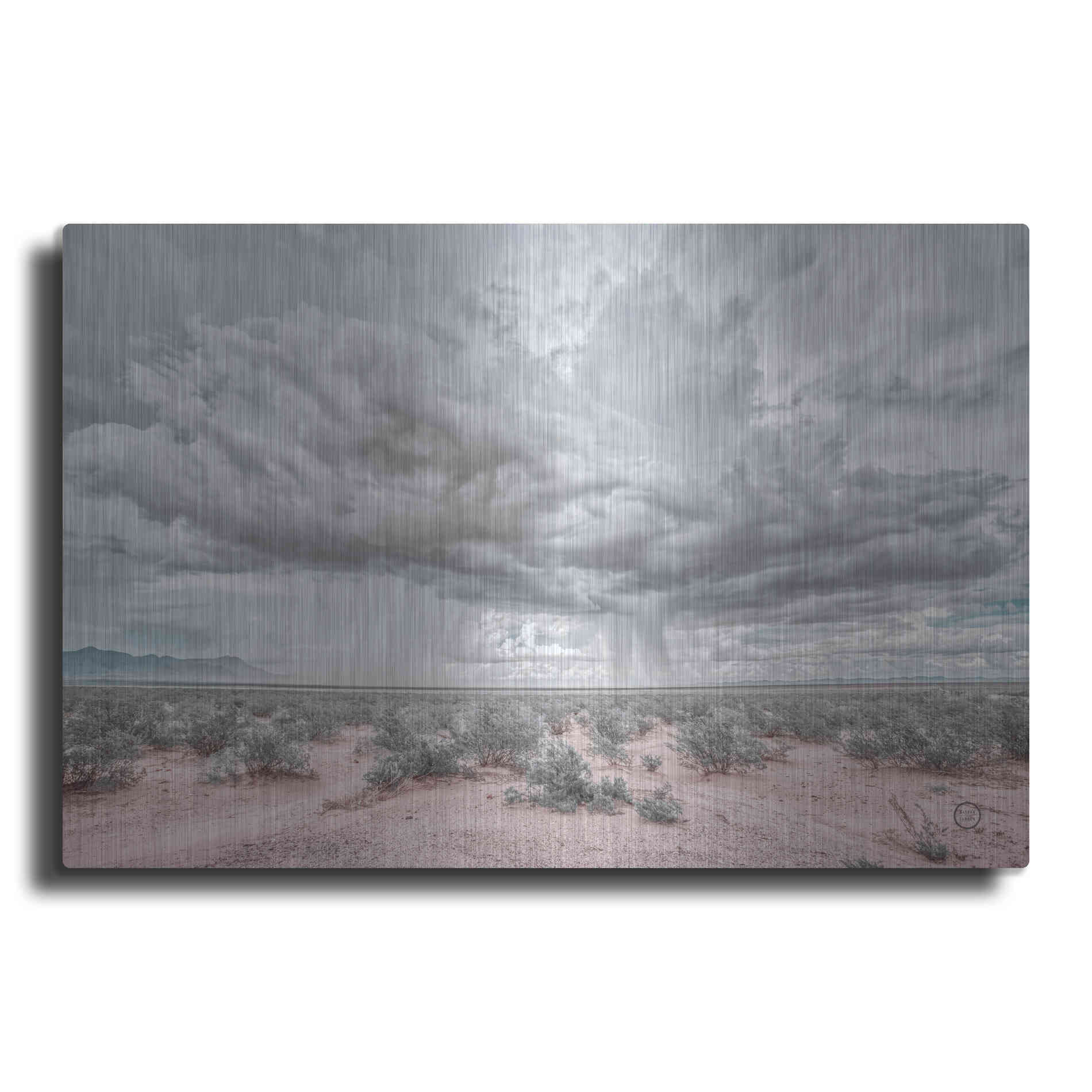 Luxe Metal Art 'New Mexico Rain' by Nathan Larson, Metal Wall Art
