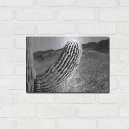 Luxe Metal Art 'Saguaro' by Nathan Larson, Metal Wall Art,16x12