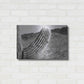 Luxe Metal Art 'Saguaro' by Nathan Larson, Metal Wall Art,24x16