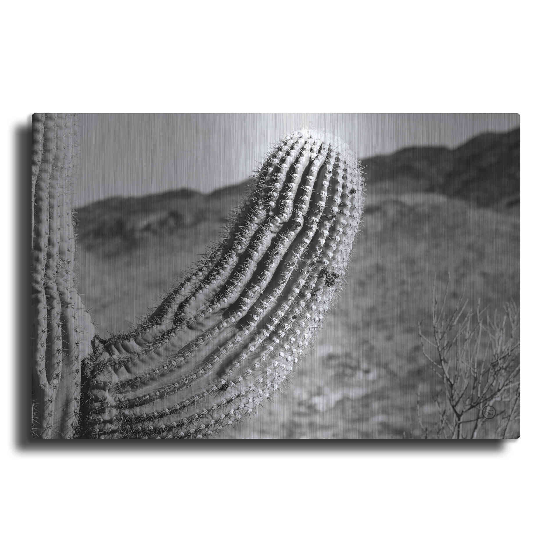 Luxe Metal Art 'Saguaro' by Nathan Larson, Metal Wall Art