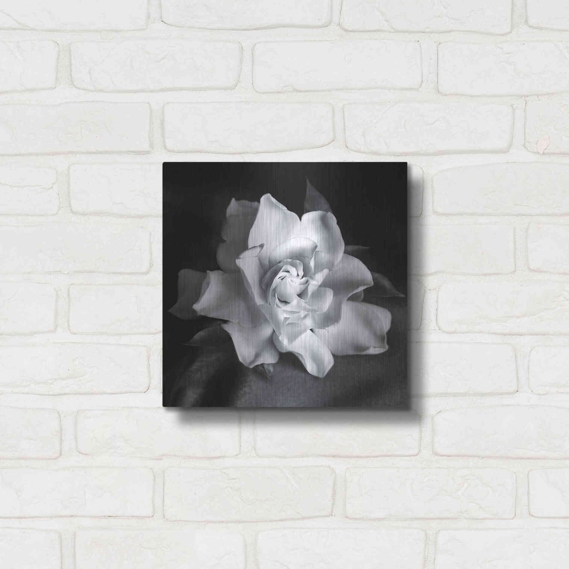 Luxe Metal Art 'Gardenia' by Debra Van Swearingen, Metal Wall Art,12x12