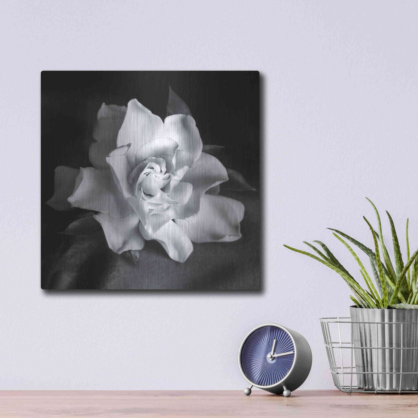 Luxe Metal Art 'Gardenia' by Debra Van Swearingen, Metal Wall Art,12x12