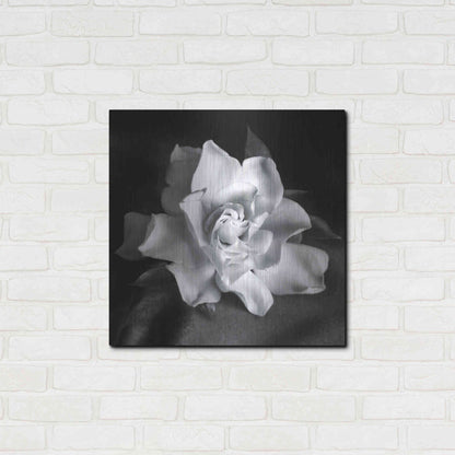 Luxe Metal Art 'Gardenia' by Debra Van Swearingen, Metal Wall Art,24x24