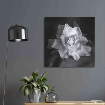 Luxe Metal Art 'Gardenia' by Debra Van Swearingen, Metal Wall Art,24x24