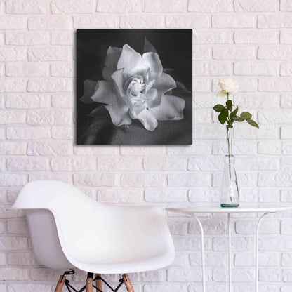 Luxe Metal Art 'Gardenia' by Debra Van Swearingen, Metal Wall Art,24x24