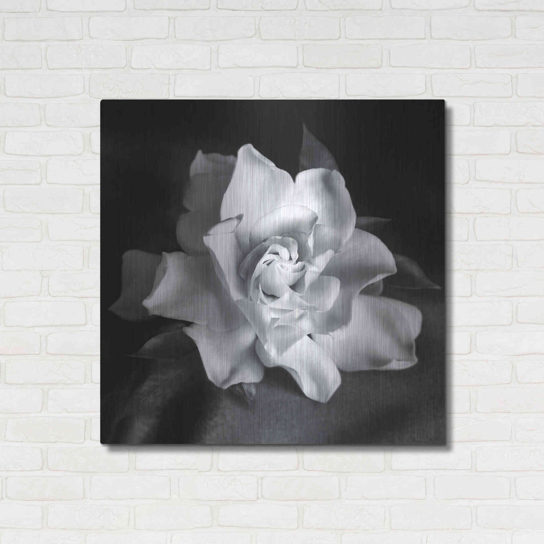 Luxe Metal Art 'Gardenia' by Debra Van Swearingen, Metal Wall Art,36x36