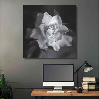 Luxe Metal Art 'Gardenia' by Debra Van Swearingen, Metal Wall Art,36x36