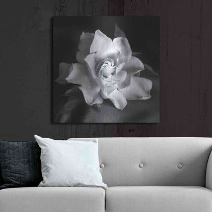 Luxe Metal Art 'Gardenia' by Debra Van Swearingen, Metal Wall Art,36x36