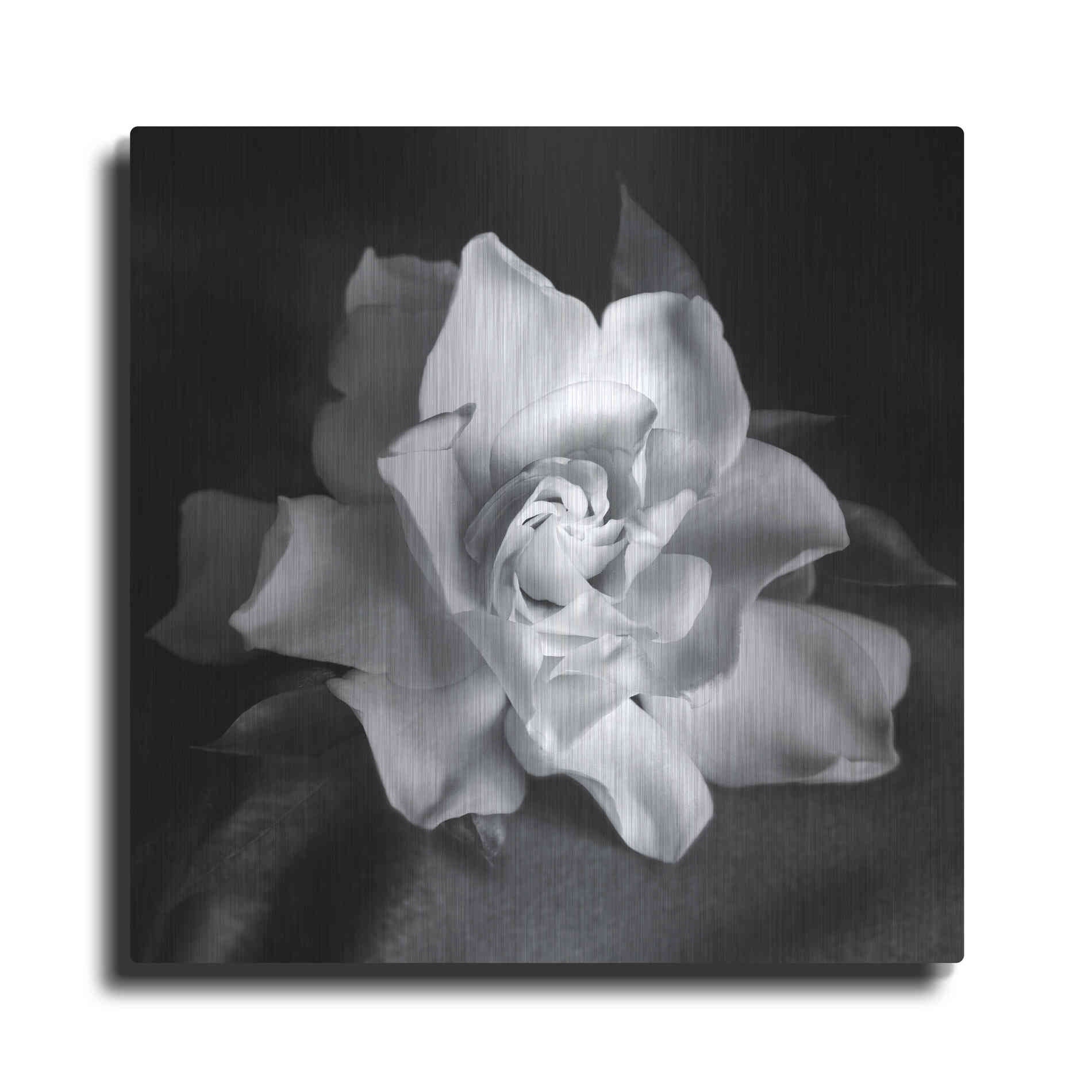 Luxe Metal Art 'Gardenia' by Debra Van Swearingen, Metal Wall Art