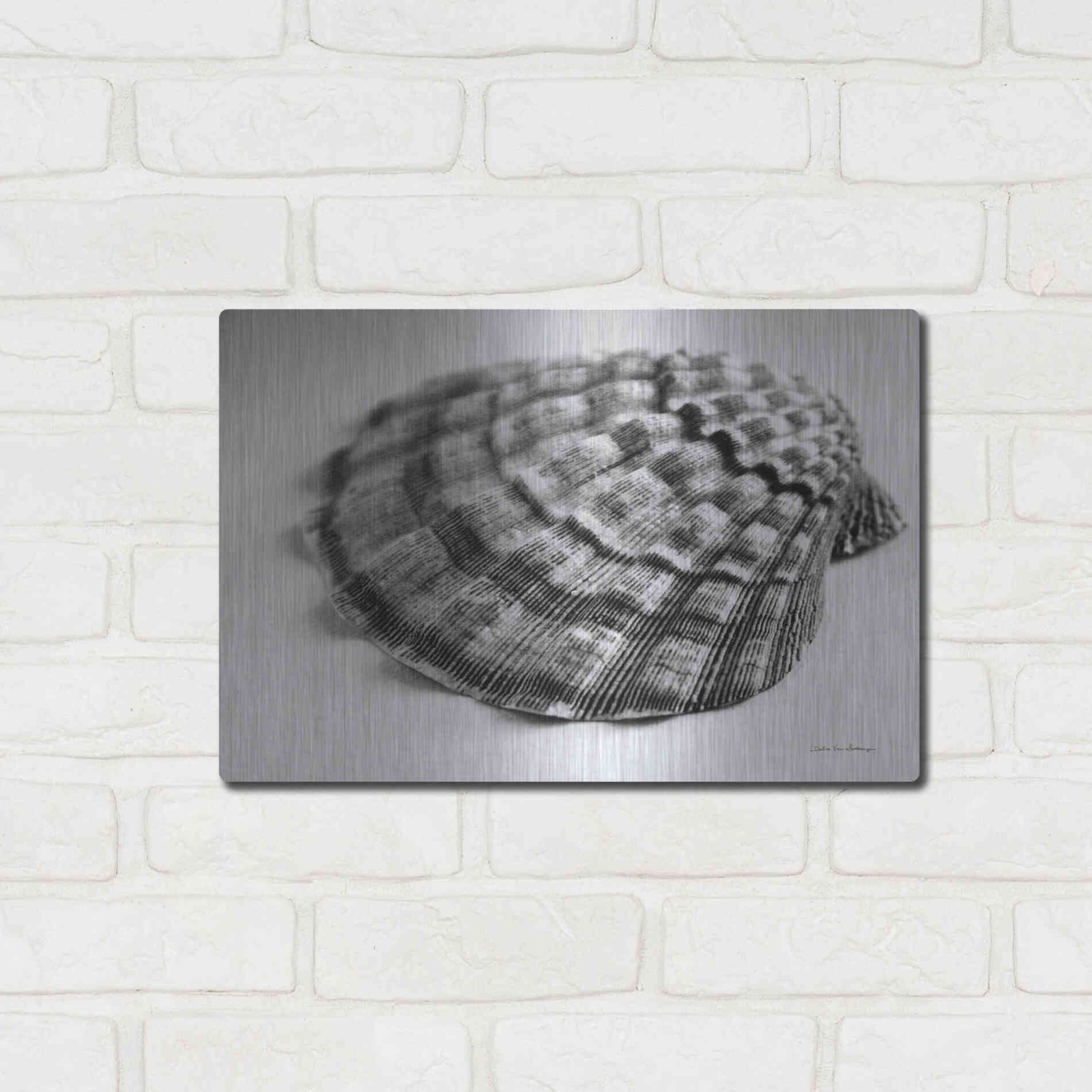 Luxe Metal Art 'Scallop 3' by Debra Van Swearingen, Metal Wall Art,16x12