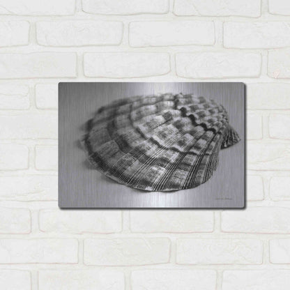 Luxe Metal Art 'Scallop 3' by Debra Van Swearingen, Metal Wall Art,16x12