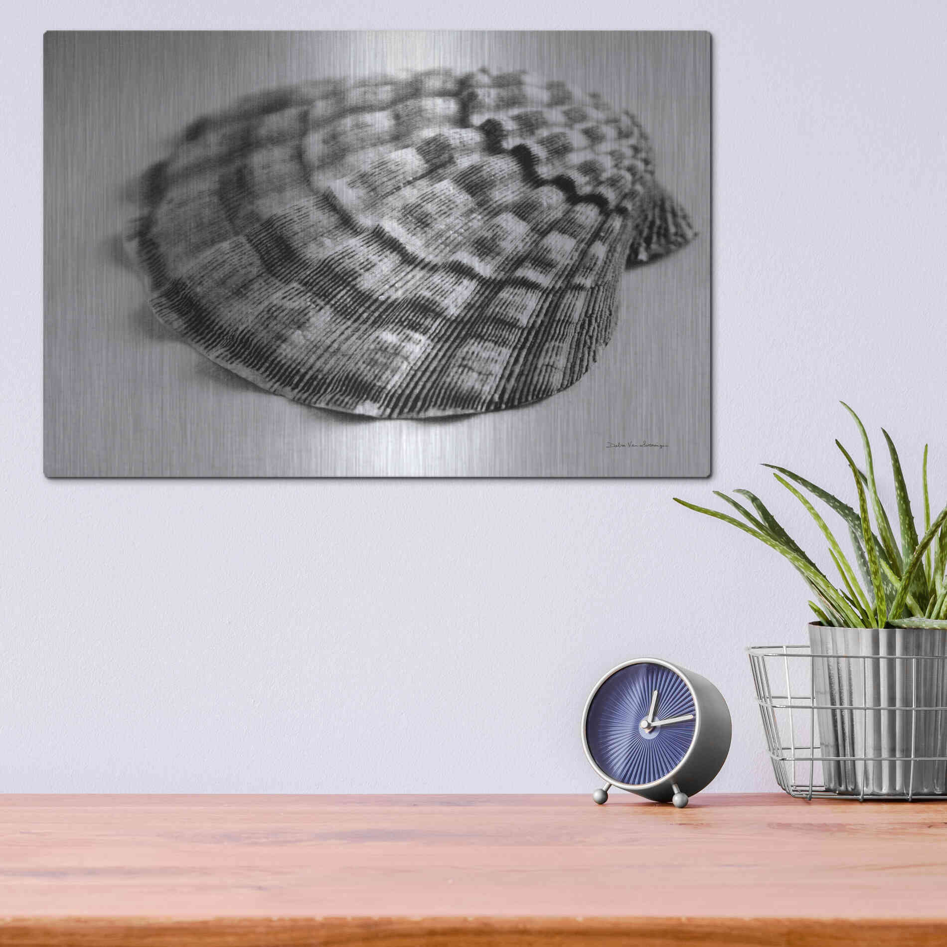 Luxe Metal Art 'Scallop 3' by Debra Van Swearingen, Metal Wall Art,16x12