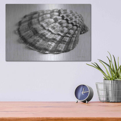 Luxe Metal Art 'Scallop 3' by Debra Van Swearingen, Metal Wall Art,16x12