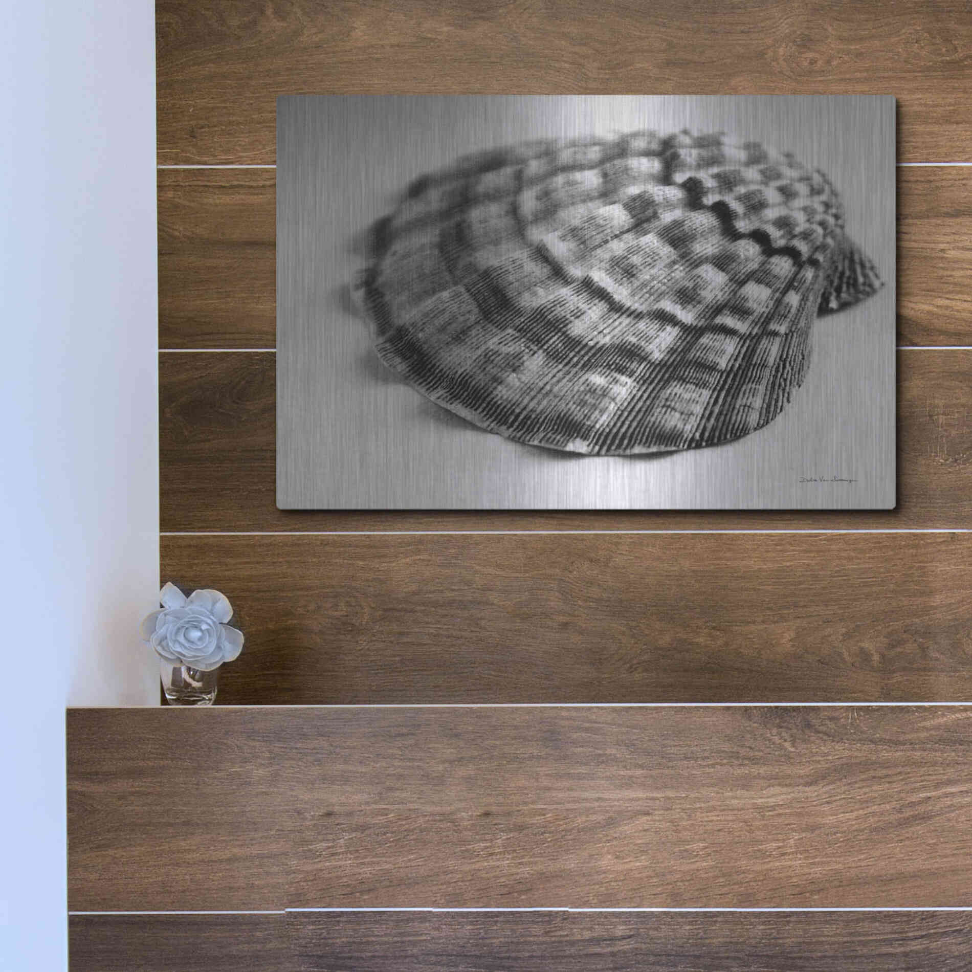 Luxe Metal Art 'Scallop 3' by Debra Van Swearingen, Metal Wall Art,16x12