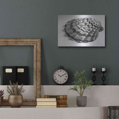 Luxe Metal Art 'Scallop 3' by Debra Van Swearingen, Metal Wall Art,16x12