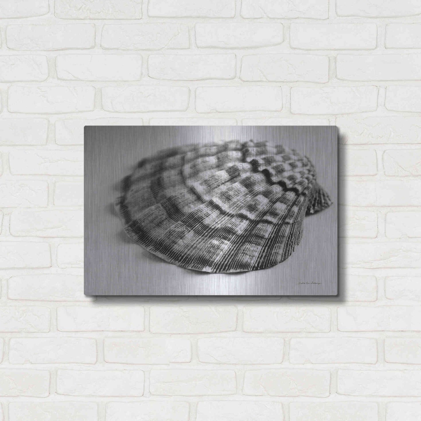 Luxe Metal Art 'Scallop 3' by Debra Van Swearingen, Metal Wall Art,24x16