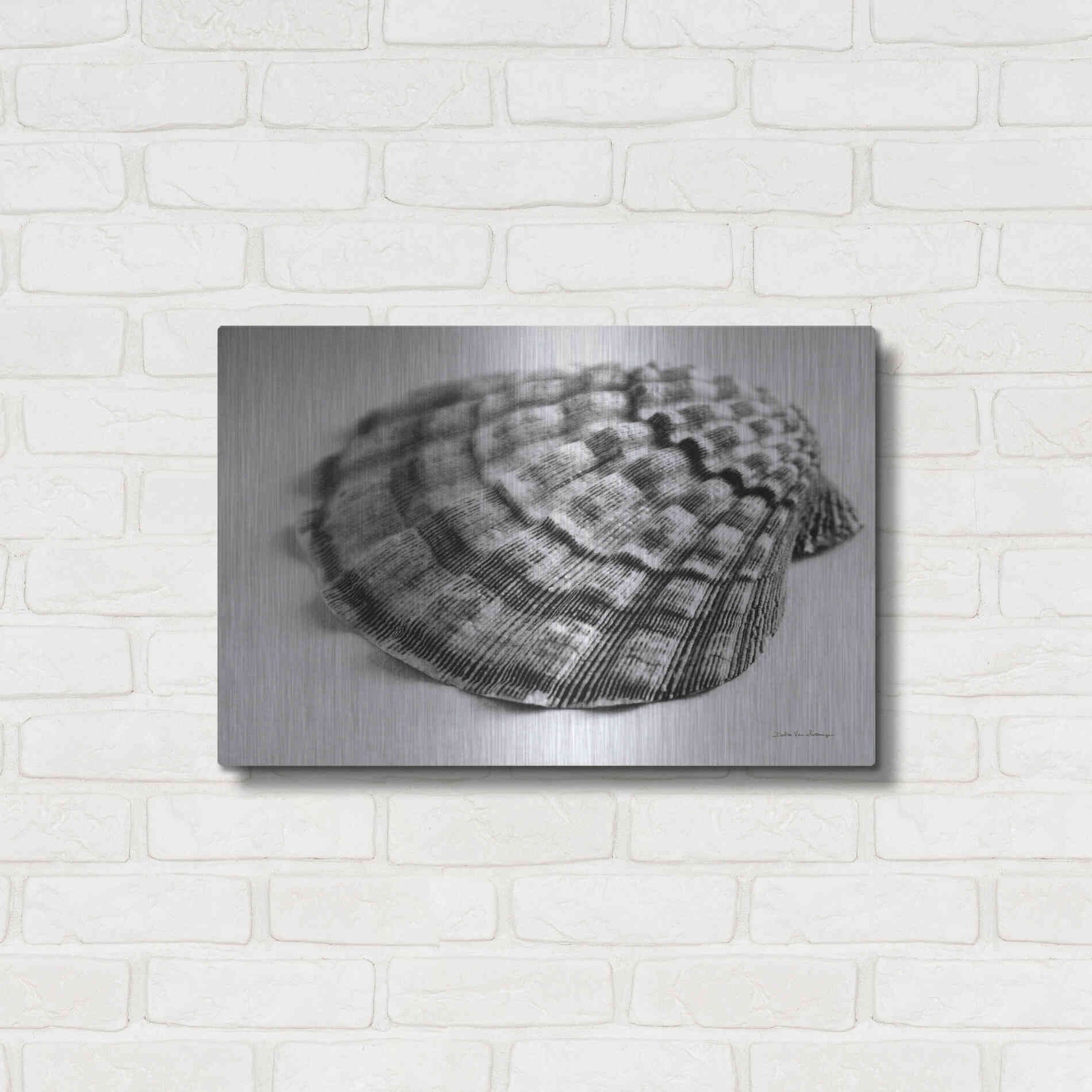 Luxe Metal Art 'Scallop 3' by Debra Van Swearingen, Metal Wall Art,24x16