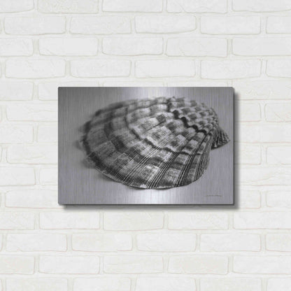 Luxe Metal Art 'Scallop 3' by Debra Van Swearingen, Metal Wall Art,24x16